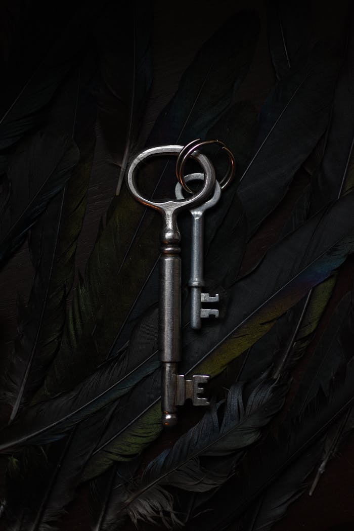 Vintage keys resting on a feathered surface, showcasing antique elegance.